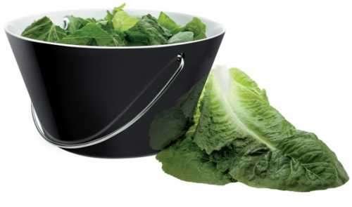 EVA SOLO BOWL Saplı Kase Siyah 4L - 1