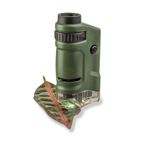 Carson LED LID Pocket Işıklı Mikroskop 20x 40x - 1