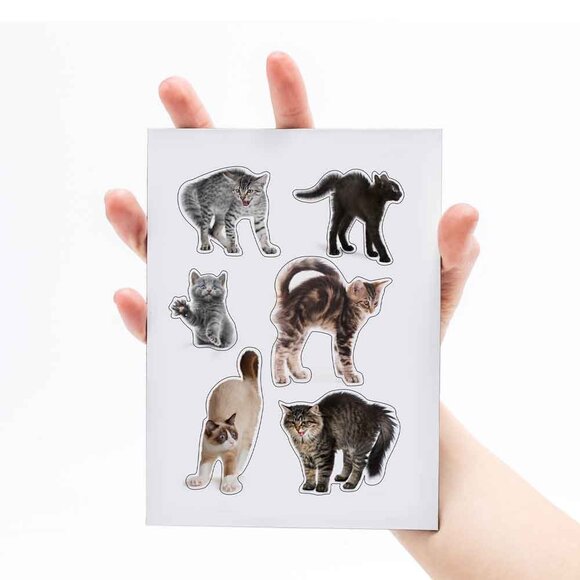 Mustard Sinirli Kediler Magnet - 4