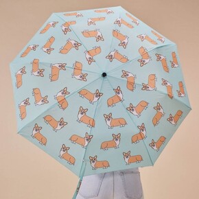 Original Duckhead Duck Kompakt Şemsiye Corgi Mint - 6