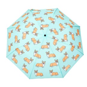 Original Duckhead Duck Kompakt Şemsiye Corgi Mint - 8